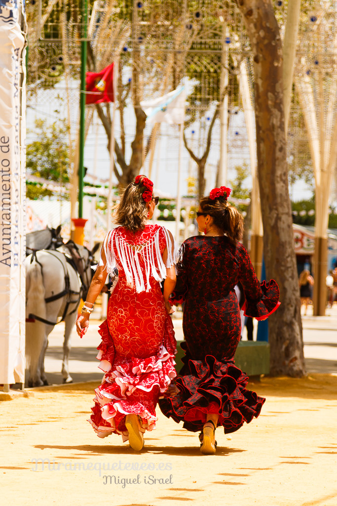 _MG_5194miramequeteveoweb-3