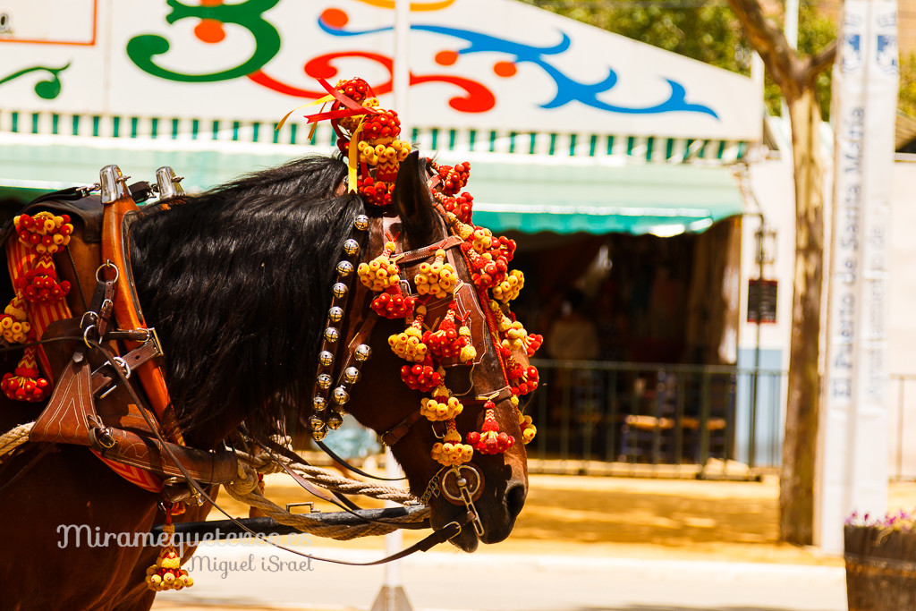 _MG_5195miramequeteveoweb-4