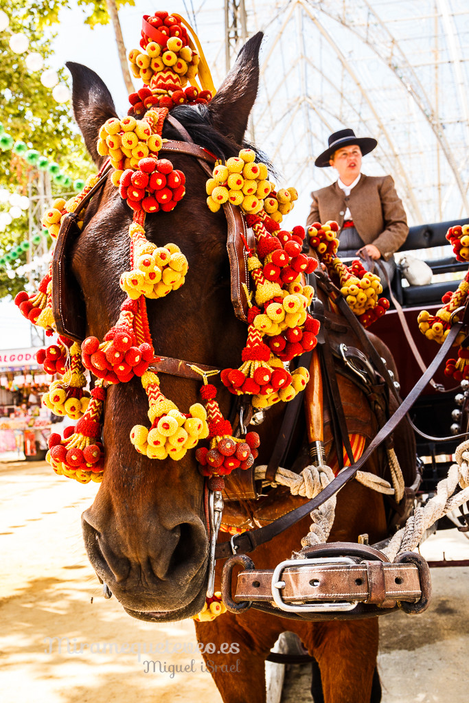 _MG_5235miramequeteveoweb-13