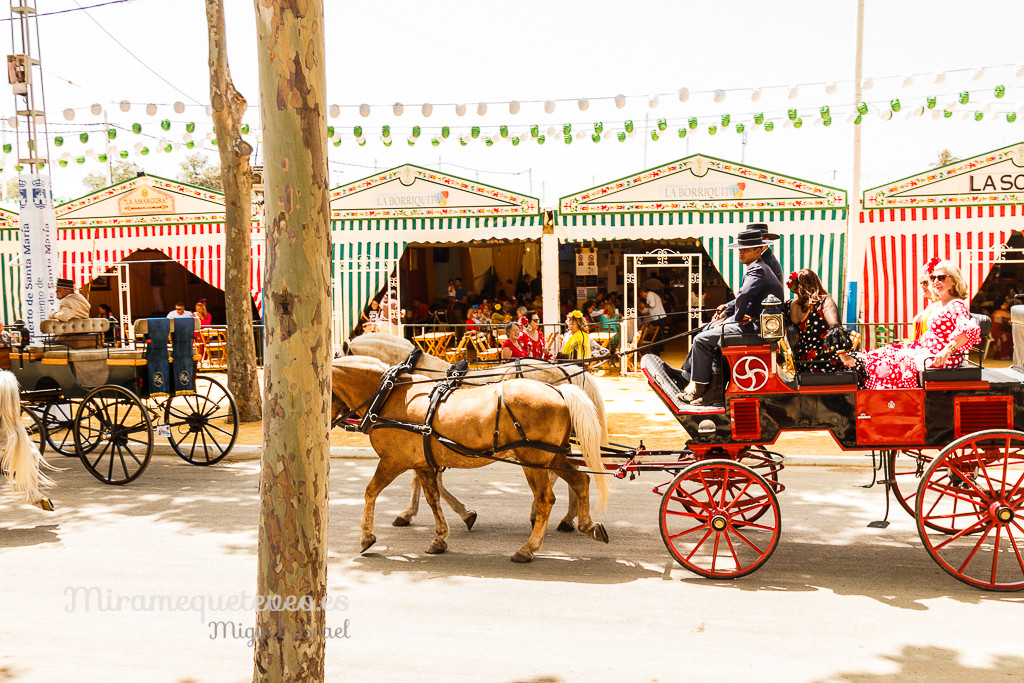 _MG_5320miramequeteveoweb-15