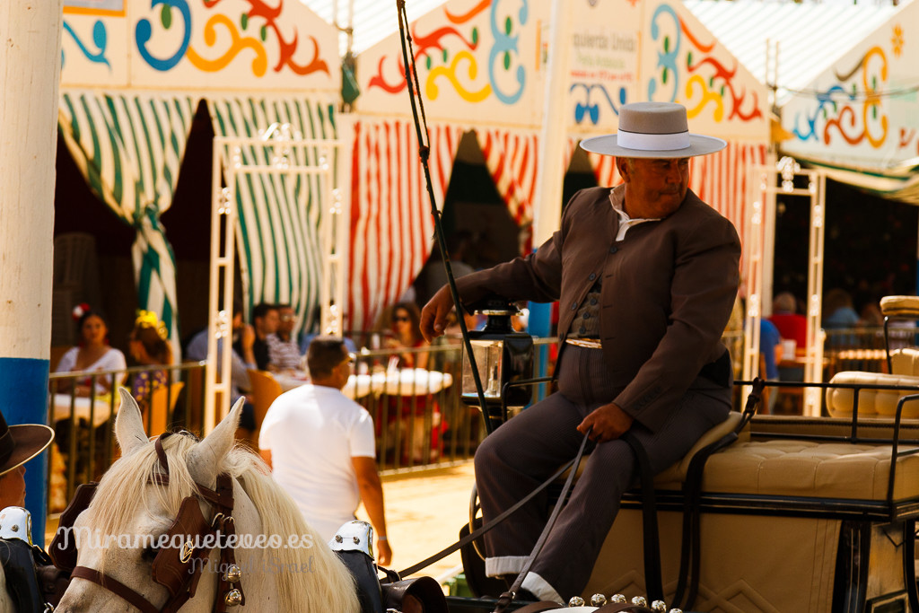 _MG_5330miramequeteveoweb-16