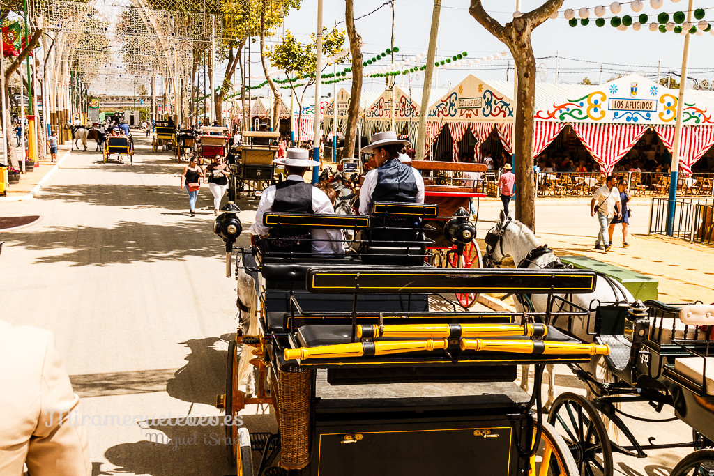 _MG_5353miramequeteveoweb-20