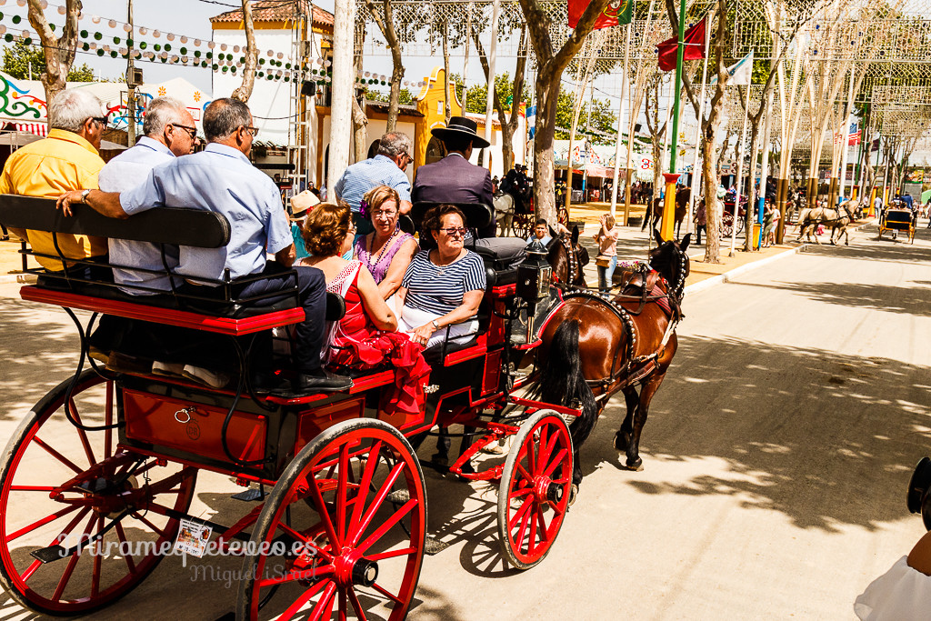 _MG_5355miramequeteveoweb-21