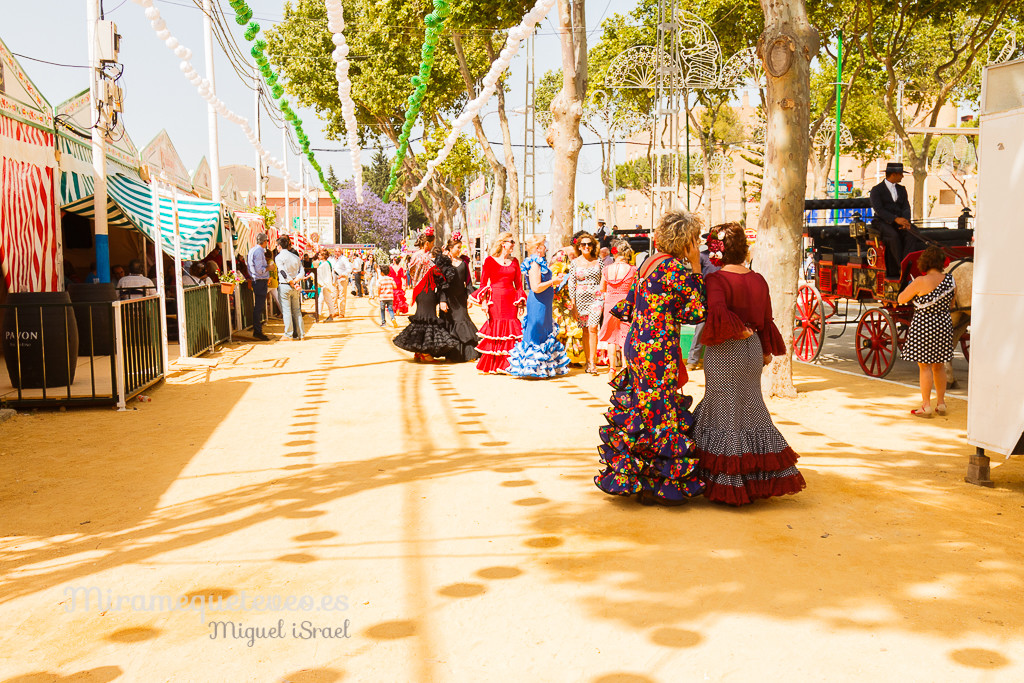 _MG_5444miramequeteveoweb-32