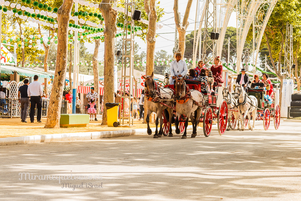 _MG_5453miramequeteveoweb-35