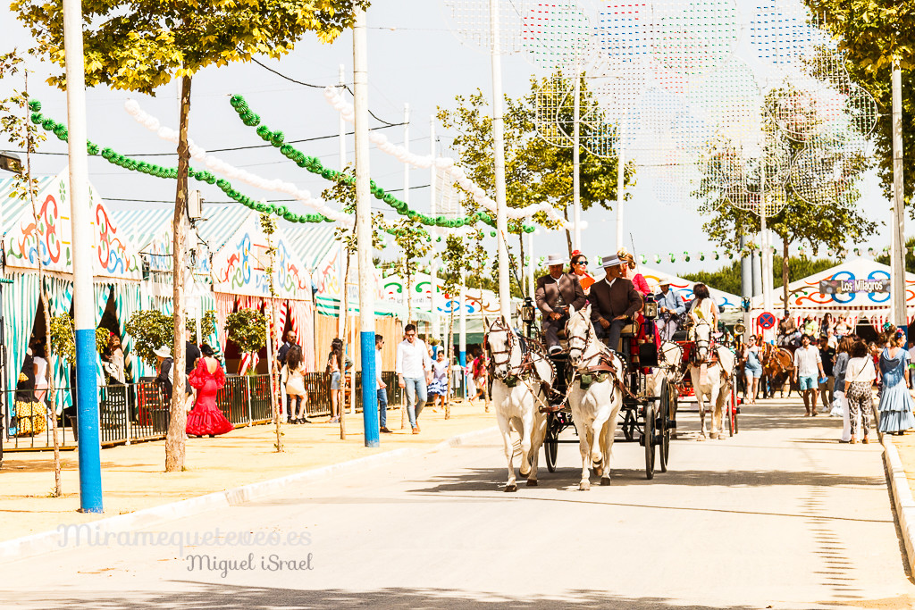 _MG_5461miramequeteveoweb-36