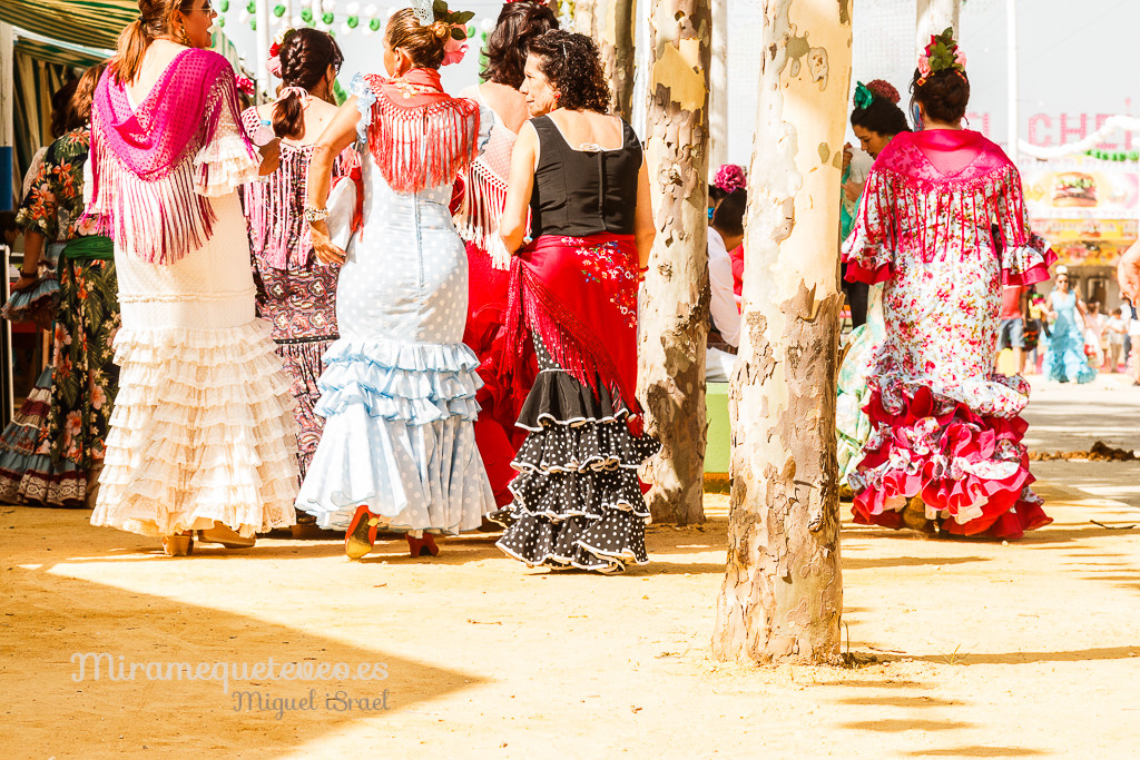 _MG_5503miramequeteveoweb-47