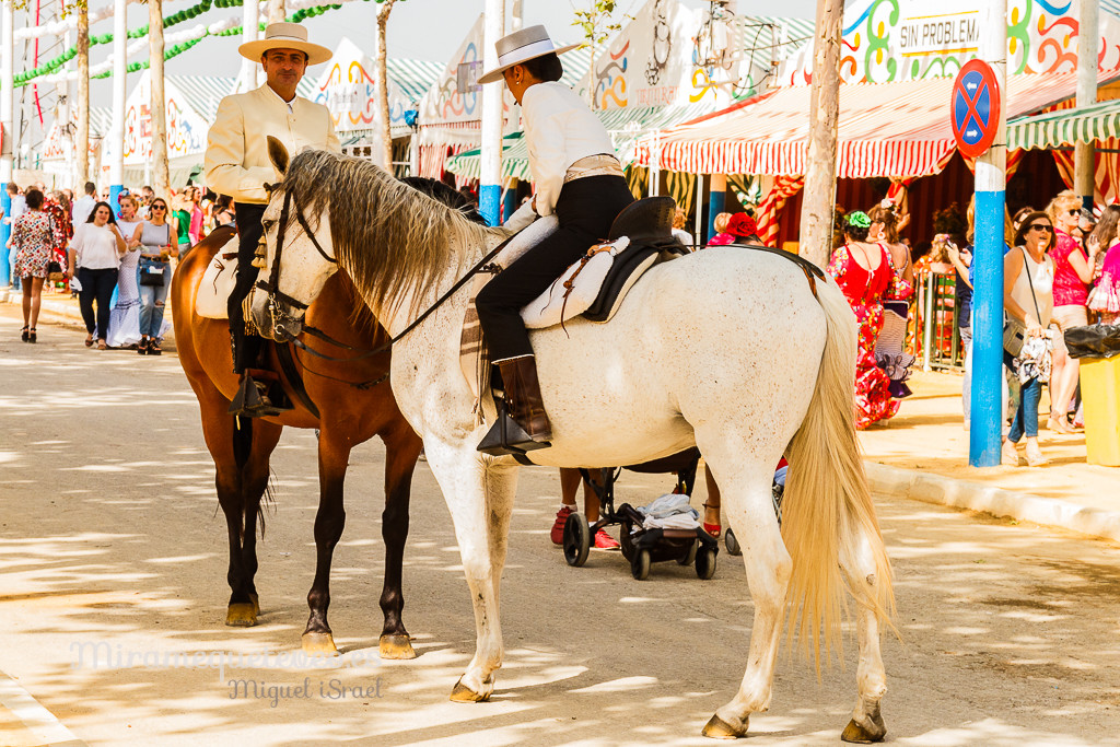 _MG_5516miramequeteveoweb-52