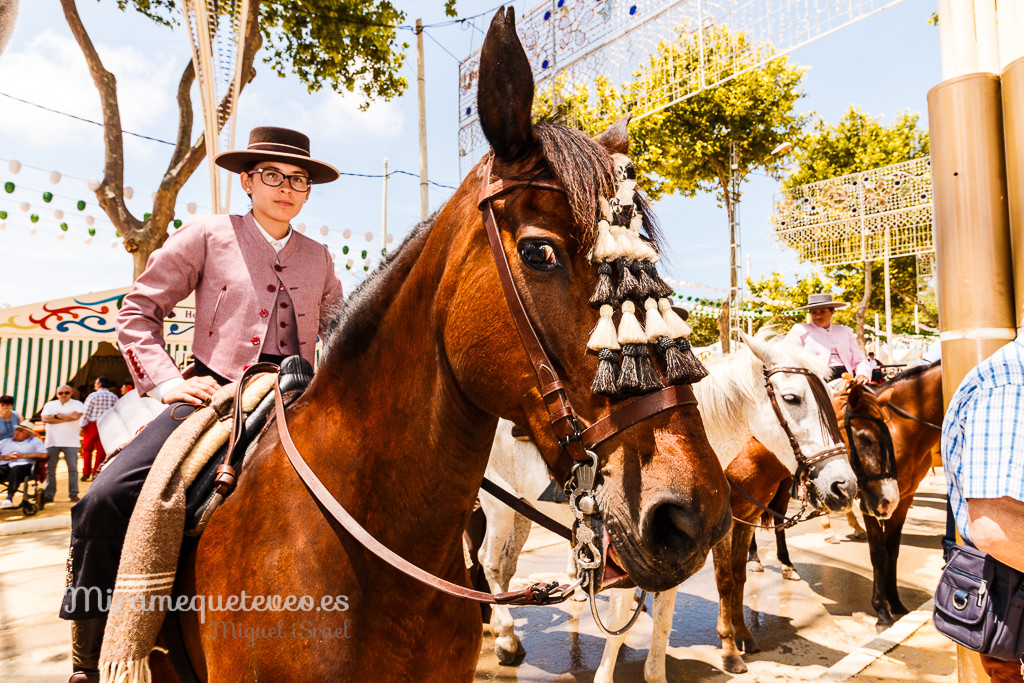 _MG_5709miramequeteveoweb-62