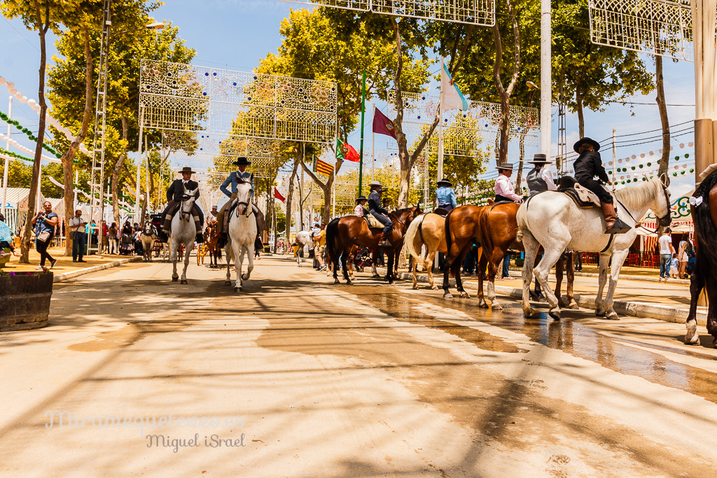 _MG_5719miramequeteveoweb-64