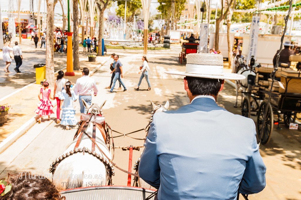 _MG_5795miramequeteveoweb-68