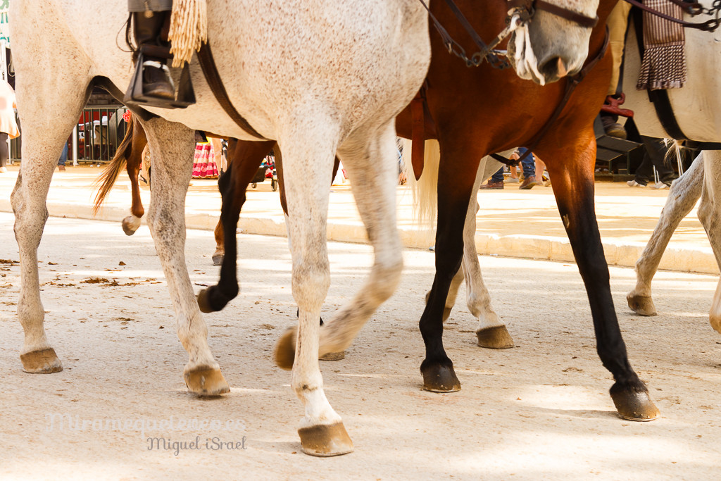 _MG_6102miramequeteveoweb-87