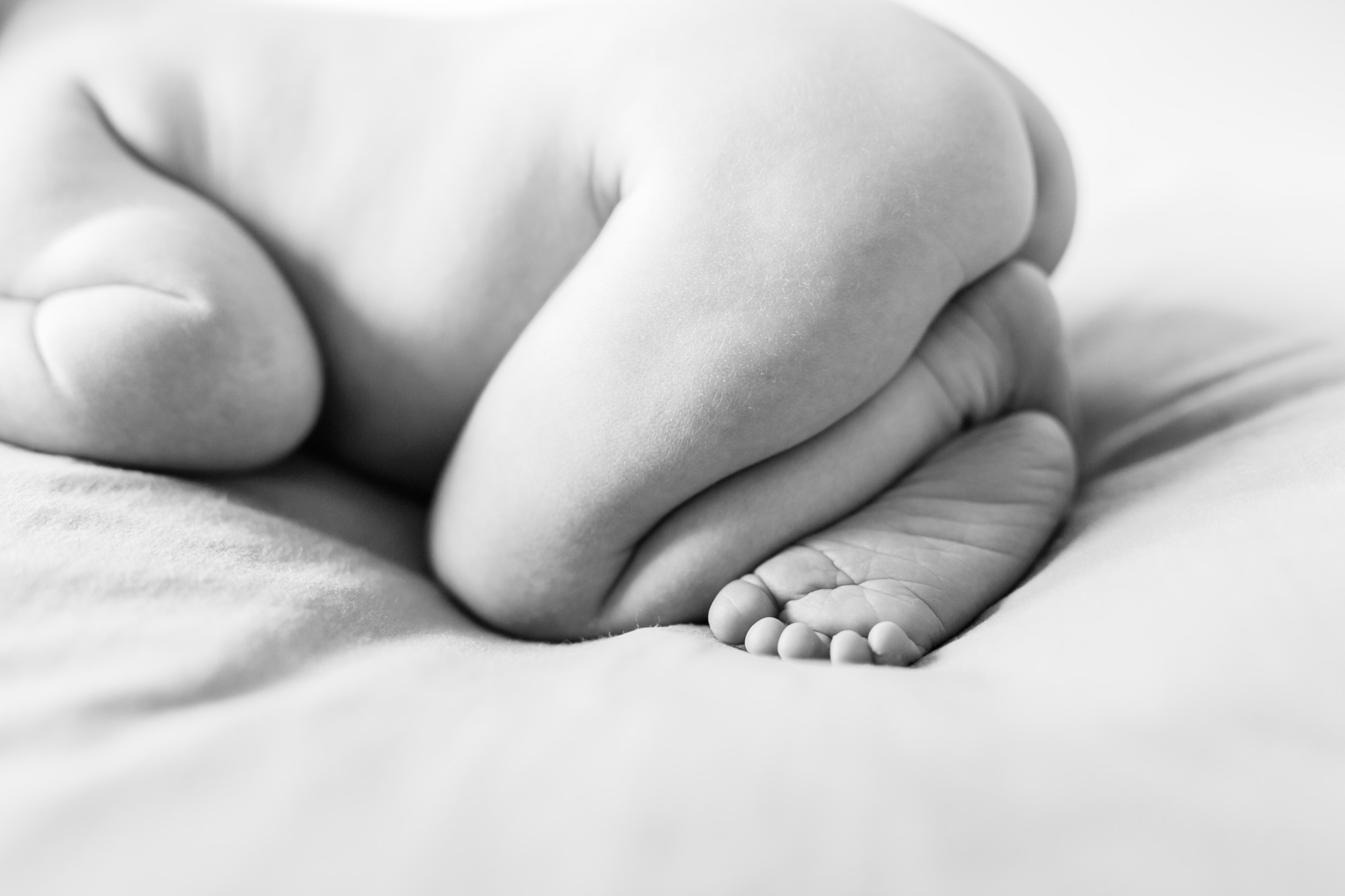 EM4A7261miramequeteveo-3